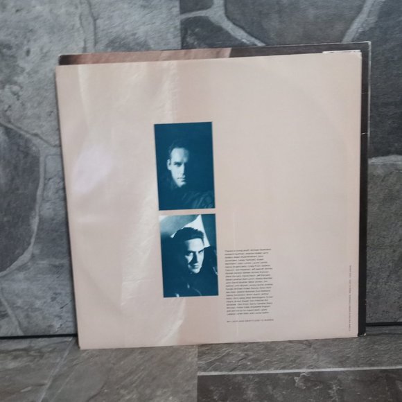 Don Henley Building The Perfect Beast Vinyl Record 1984 NM - Picture 4 of 6